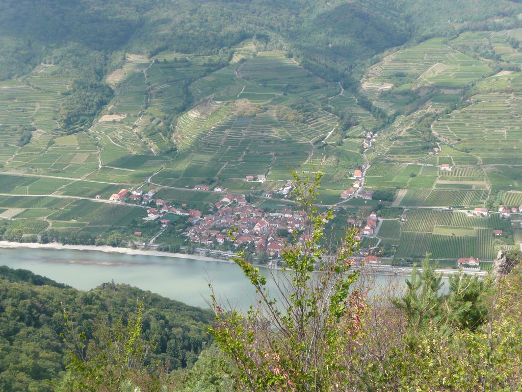 Weingut Langmayer Wösendorf Exteriör bild