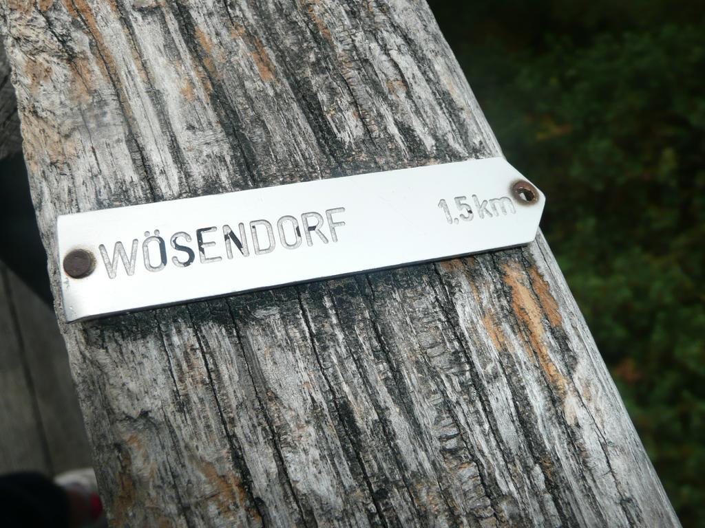 Weingut Langmayer Wösendorf Exteriör bild