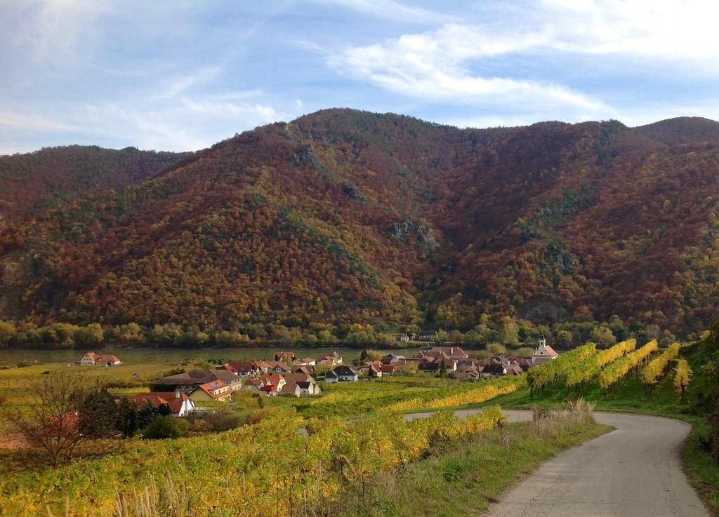 Weingut Langmayer Lägenhet Wösendorf Exteriör bild