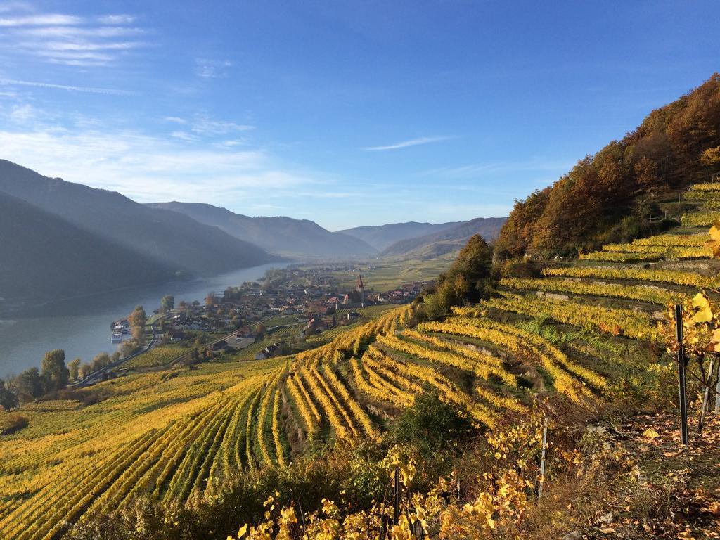 Weingut Langmayer Lägenhet Wösendorf Exteriör bild