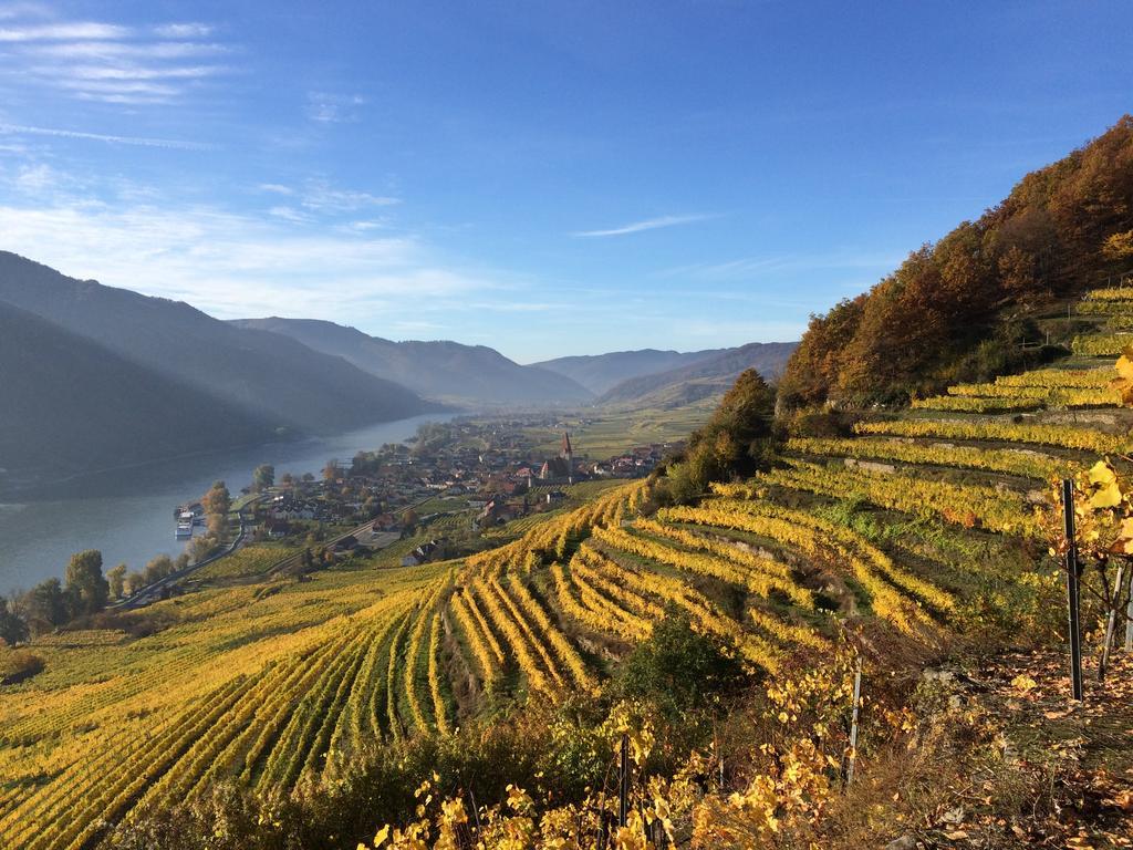 Weingut Langmayer Wösendorf Exteriör bild