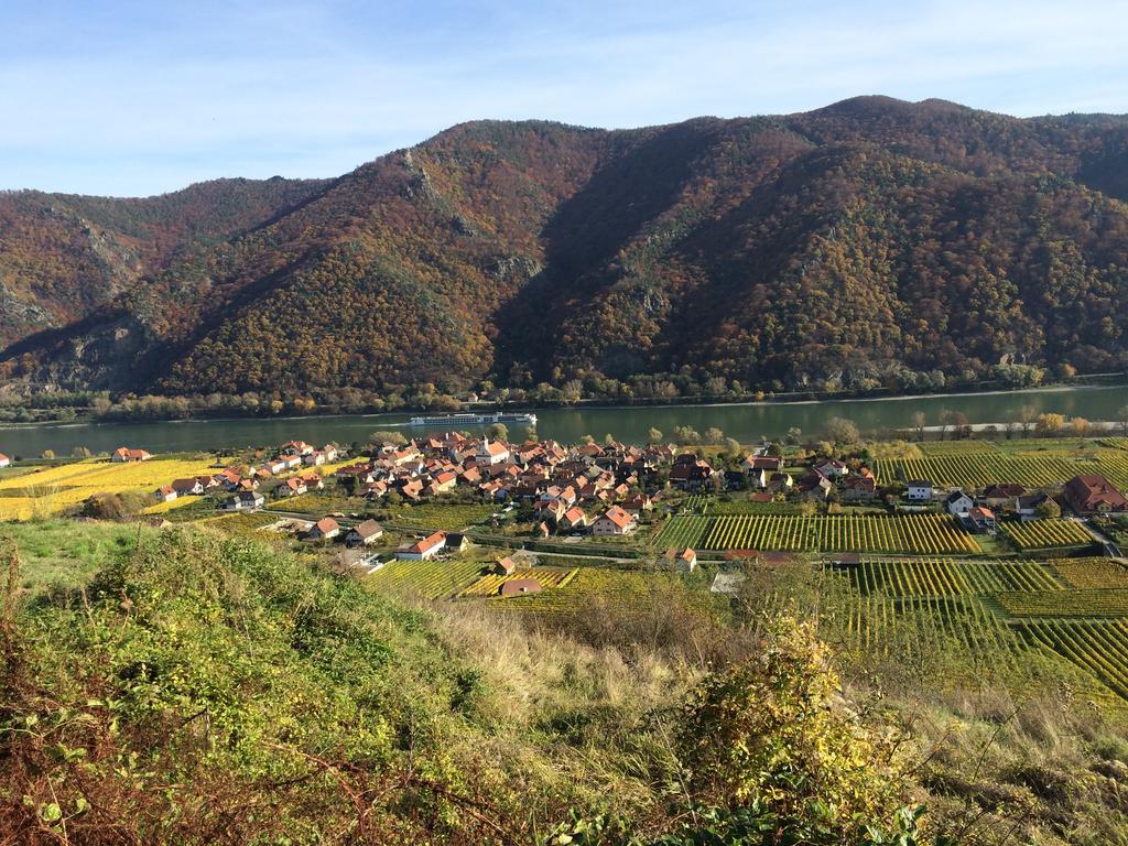 Weingut Langmayer Wösendorf Exteriör bild
